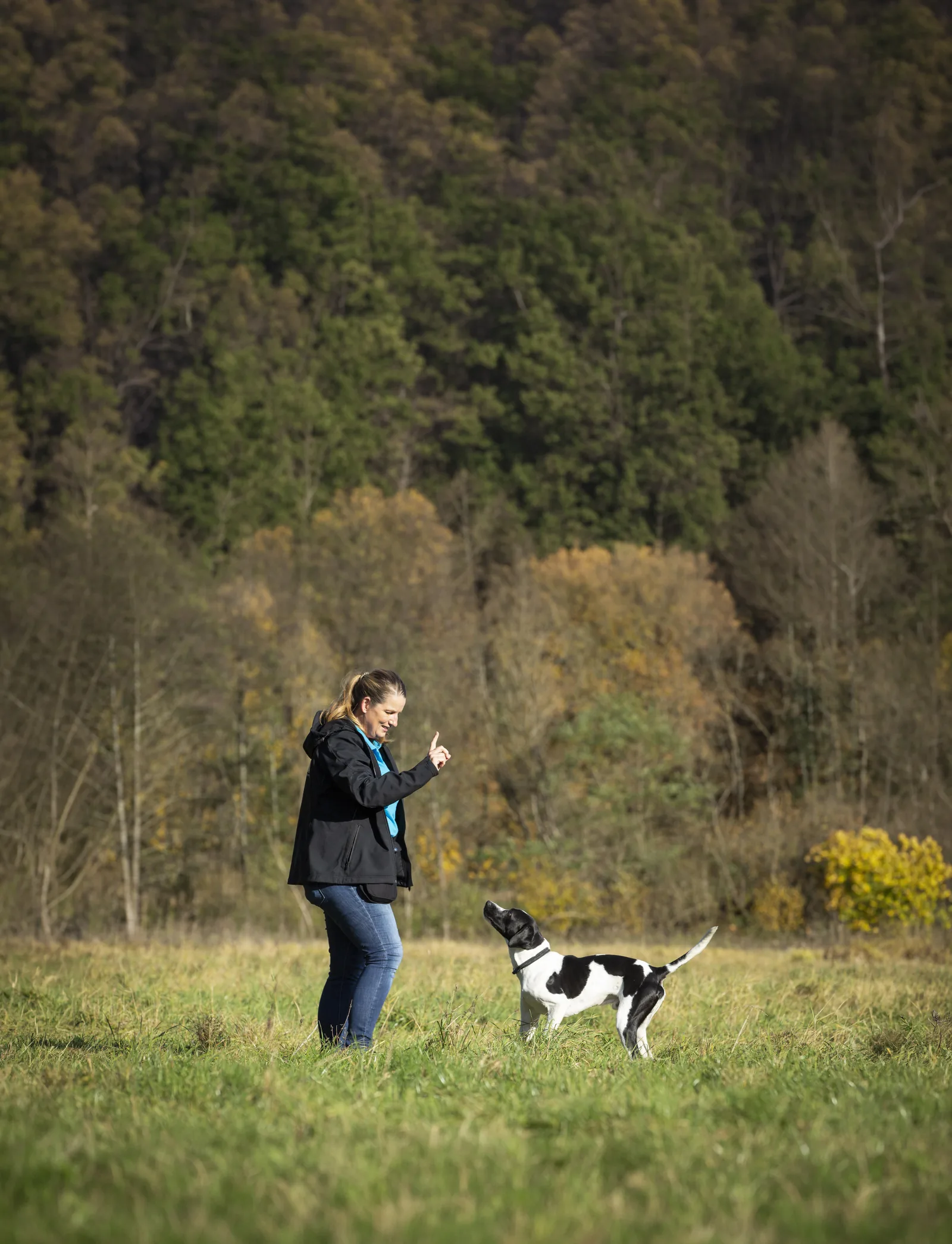 Trainer practising positive reinforcement with a dog outdoors