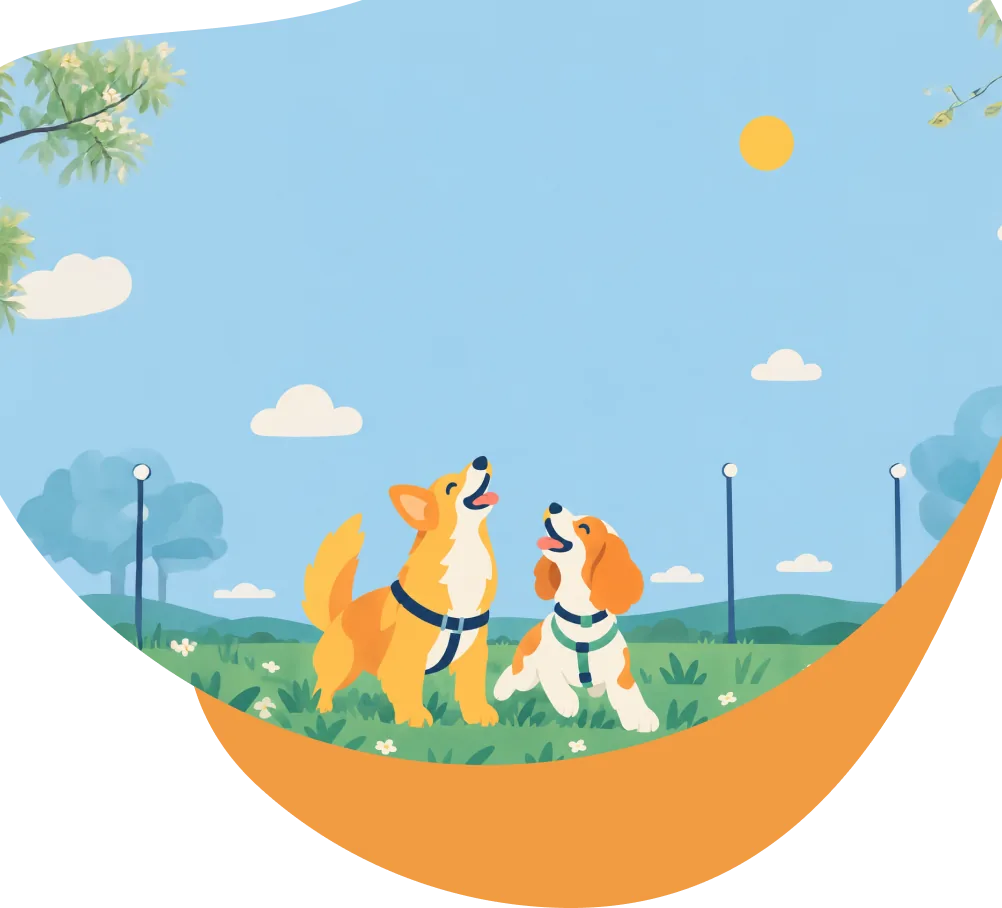 Two happy dogs in a sunny park